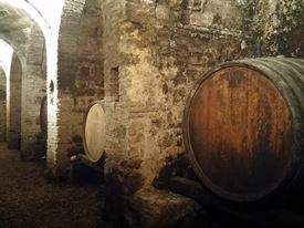 Marche Wine Tour 11