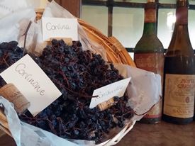 Gourmet day in Valpolicella 11